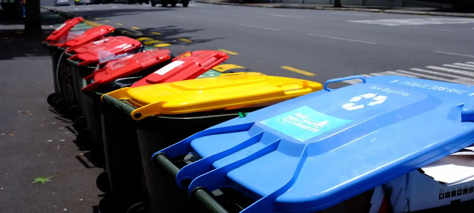Different coloured skip bins lined up beside the road for skip bin hire Launceston area